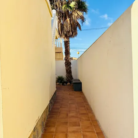 فيلة Limon Playa Flamenca لقنت
