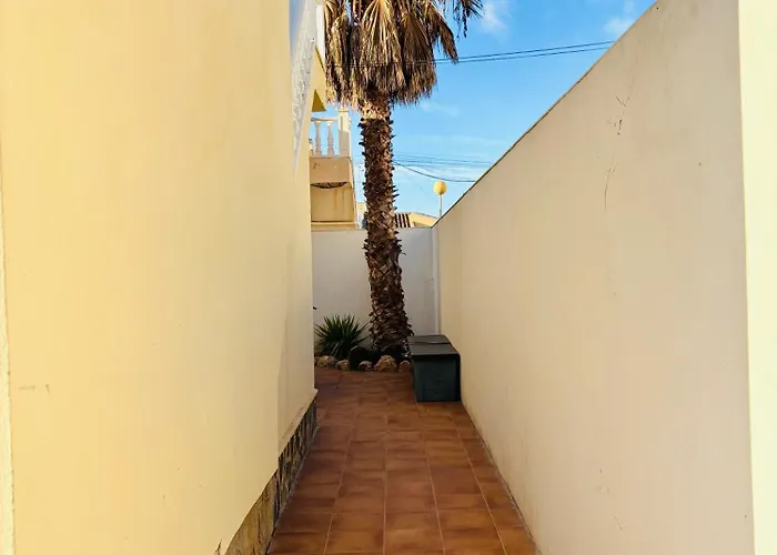 Vila Limon Playa Flamenca Alicante